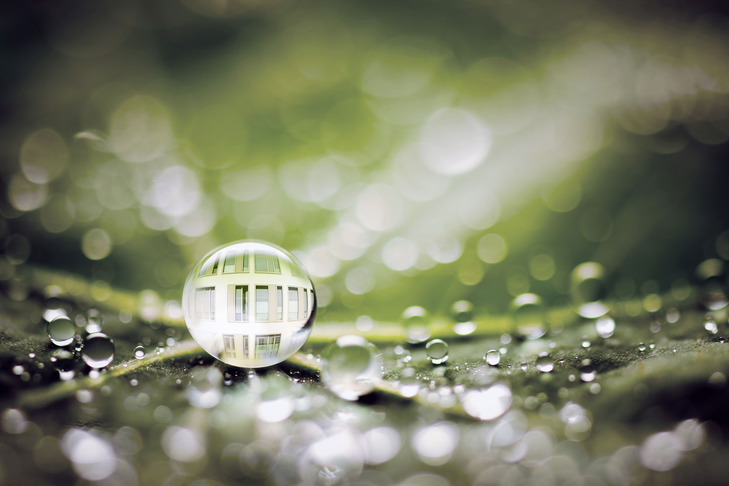 Bionik på Sto: Vattendroppar på ett grönt blad.