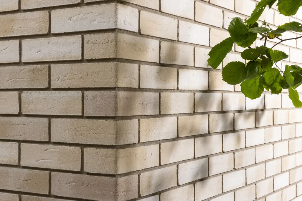 StoCleyer B. Beige 04.