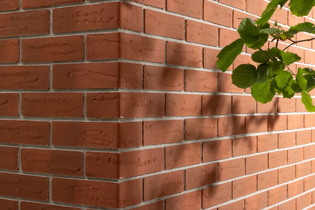 StoCleyer B. Red 04.