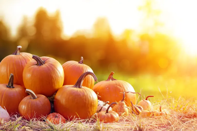Pumpor